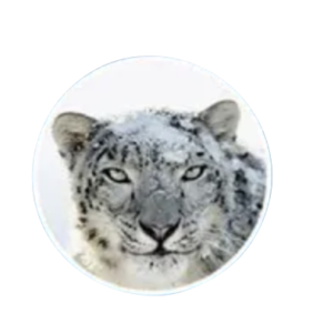 2009snowleopard