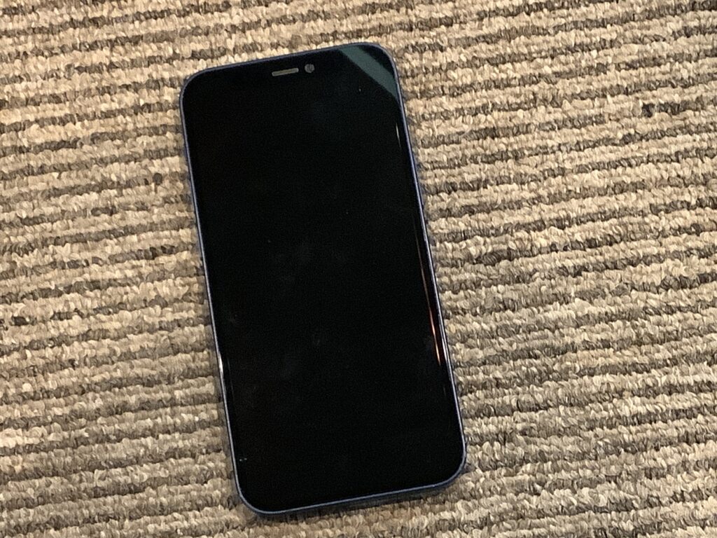 iPhone12mini 水没 電源入らない 処分